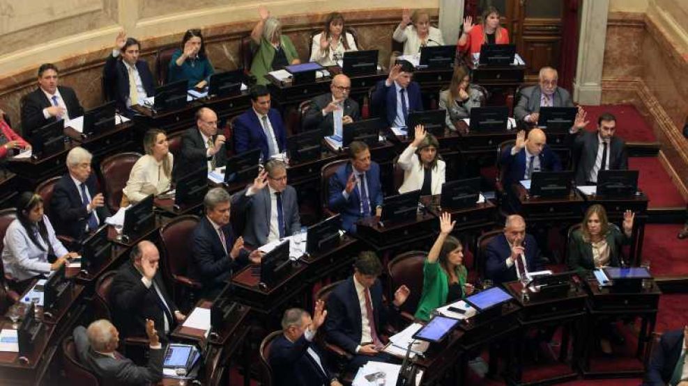 tratamiento-ley-bases-senado
