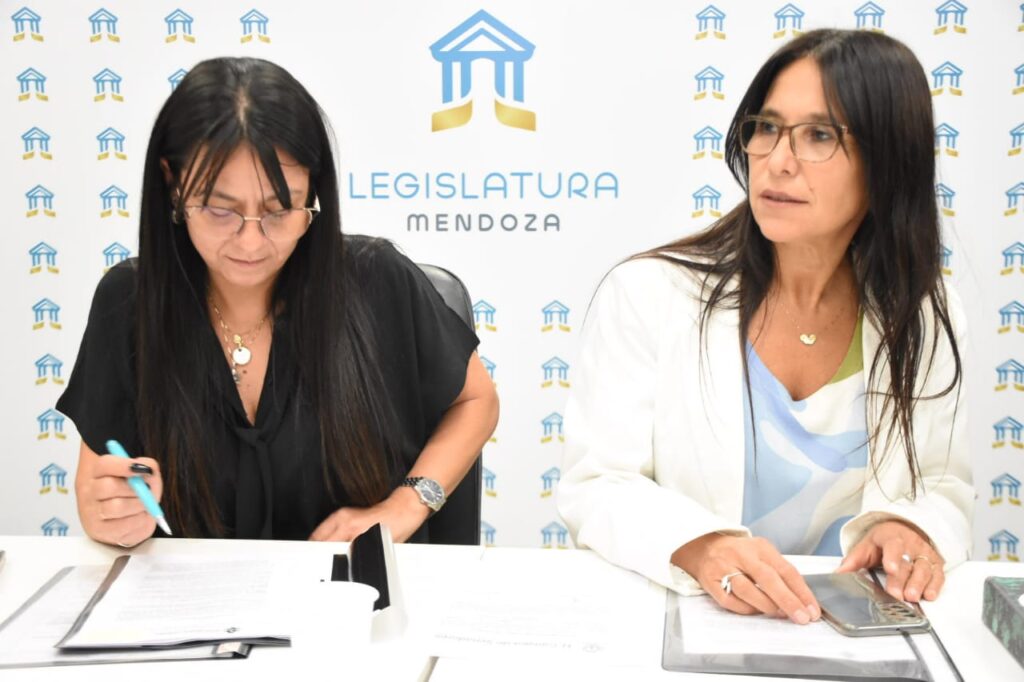despacho-avaluo-impositivo-2025